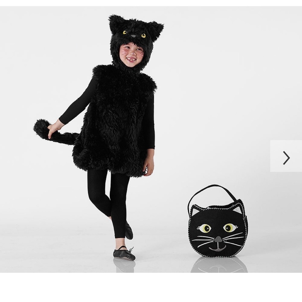Pottery barn kids cat costume,size 2T/3T